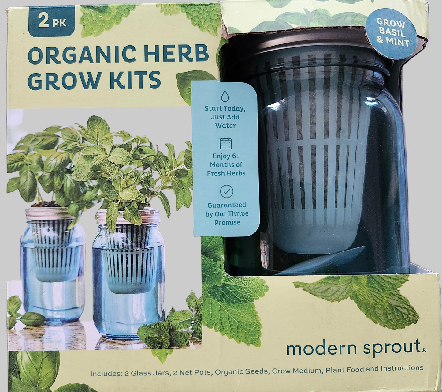 πΏ Modern Sprout Organic Herb Grow Kit β 2 Pack (Mint & Basil)