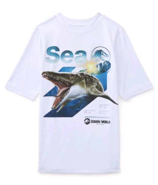 Boys’ graphic rashguard swim shirt.